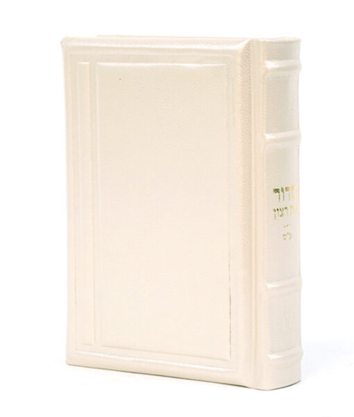 Genuine Leather Siddur Chein style - Image 6