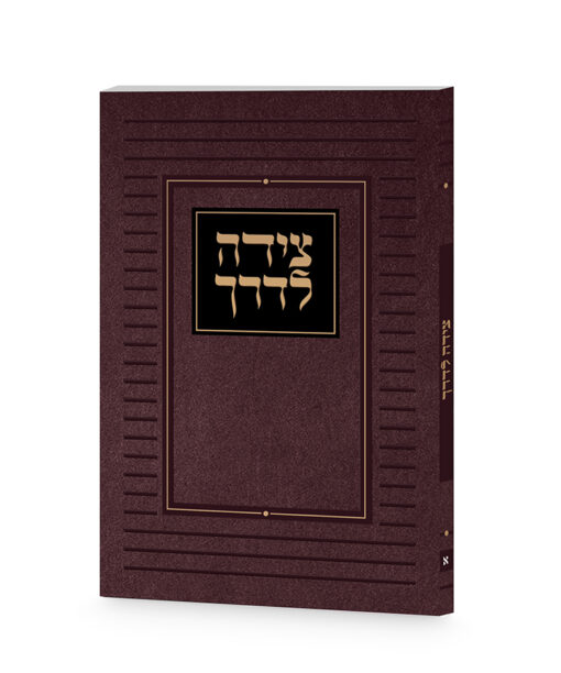 Tzeidah LaDerech Classis 3X4